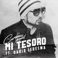 Mi Tesoro (feat. David Ledesma) Song Lyrics