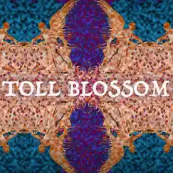 Toll Blossom Song Lyrics
