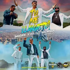 Tu Me Llamaste (feat. Big Willie El Renacido & Cj Music) - Single by IMAGEN EL DE LA TINTA UNGIDA album reviews, ratings, credits