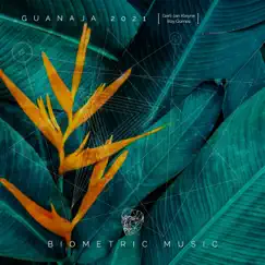 Guanaja 2021 - Single by Gert-Jan Kleyne & Roy Gomes album reviews, ratings, credits