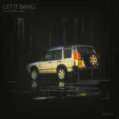 Let It Bang (feat. Mal London) [Radio Edit] [Radio Edit] - Single by C'est La album reviews, ratings, credits