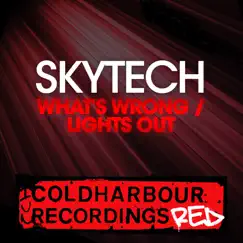 What's Wrong (Skytech Stadium Radio Edit) Song Lyrics