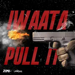 Pull It - Single by Iwaata & Zimi album reviews, ratings, credits
