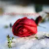 Es ist ein Ros entsprungen (A rose has sprung up) - Single album lyrics, reviews, download