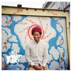 What For? by Toro y Moi album reviews, ratings, credits