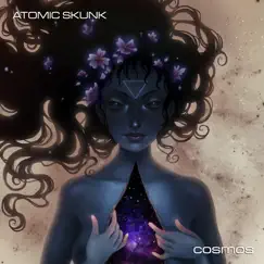 Cosmos by Atomic Skunk album reviews, ratings, credits