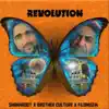 Revolution - Single album lyrics, reviews, download