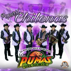 Popurrí Chilenas: Baile Tradicional Oaxaqueño 1 / Chilena Tradicional 2/ Chilena Tradicional Oaxaqueña 3 - Single by Los Pumas del Norte album reviews, ratings, credits