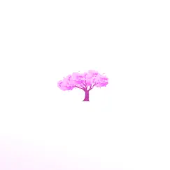 Cherry Blossoms (feat. Nyanni) Song Lyrics