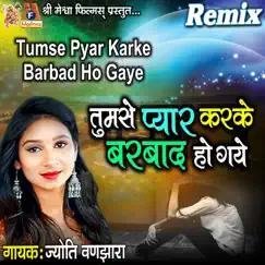 Tumse Pyar Karke Barbad Ho Gaye (Remix Version) Song Lyrics