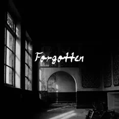 Forgotten - Single by Apm Beats album reviews, ratings, credits