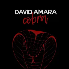 Cobra - Single by David Amara album reviews, ratings, credits
