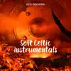 Soft Celtic Instrumentals album lyrics, reviews, download