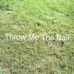 Throw Me the Ball - Single by Hemi B album reviews, ratings, credits