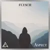 Aspect - Single album lyrics, reviews, download