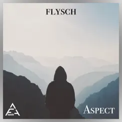 Aspect - Single by Flysch album reviews, ratings, credits