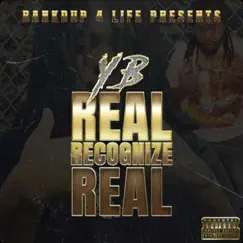 Real Recognize Real - Single by Bankdup YB album reviews, ratings, credits