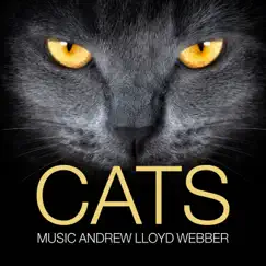 Old Deuteronomy (From Cats the Musical) Song Lyrics