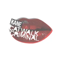 Catwalk Criminal Song Lyrics