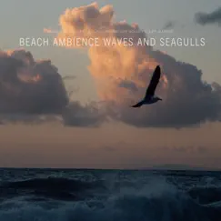Beach Ambient and Seagulls Song Lyrics