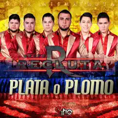 Plata O Plomo Song Lyrics