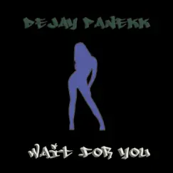 Wait For You - Single by DeJay Panekk album reviews, ratings, credits