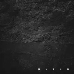 Blind - Single by David Veslocki & Michael Minelli album reviews, ratings, credits
