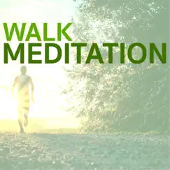 Walk Meditation - Relaxing Songs to Use as Background While Walking & Jogging by Walking Meditation Music Expert & Kurt Oasis album reviews, ratings, credits