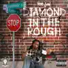 Diamond in the Rough - Single album lyrics, reviews, download