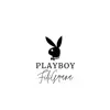 Play Boy - Single album lyrics, reviews, download
