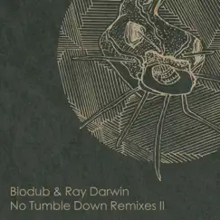 No Tumble Down (feat. Ray Darwin) [Frango & Simstah Remix] Song Lyrics
