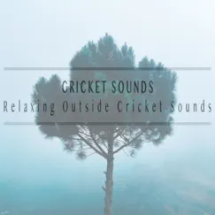 Relaxing Outside Cricket Sounds by Cricket Sounds album reviews, ratings, credits