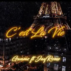 C'est La Vie (feat. Jay Rome) Song Lyrics