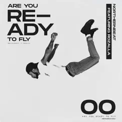 Are You Ready to Fly (feat. Rozalla) [Del Gibbons House Mix] Song Lyrics