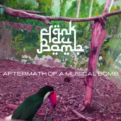 Aftermath of a Musical Bomb by Frank Du Bomb album reviews, ratings, credits