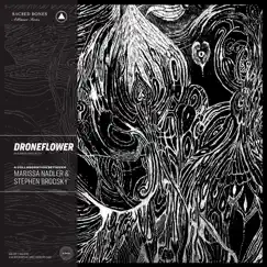 Droneflower by Marissa Nadler & Stephen Brodsky album reviews, ratings, credits