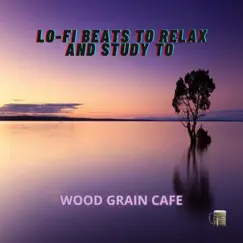 Lo-fi Beats To Relax and Study To, Vol. 28 by Wood Grain Cafe album reviews, ratings, credits