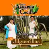 Homenaje a las Jilguerillas album lyrics, reviews, download