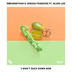 I Won't Back Down Now (feat. Blair Lee) Song Lyrics