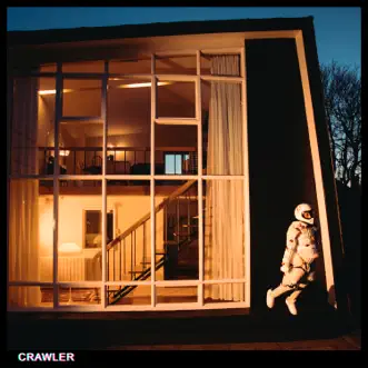 CRAWLER by IDLES album download
