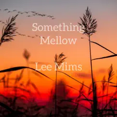 Something Mellow - Single by Lee Mims album reviews, ratings, credits