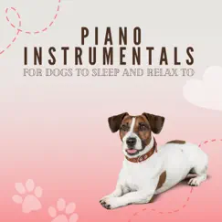 Deep sleep music for Pets Song Lyrics