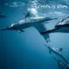 Ocean of Vibes album lyrics, reviews, download