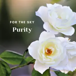 Purity - Single by For the Sky album reviews, ratings, credits