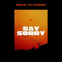 SAY SORRY (feat. Ol Sandiha) - Single by BHOLD album reviews, ratings, credits
