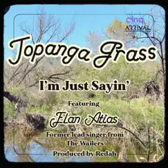 I'm Just Sayin' (feat. Elan Atias & Dominique) [English Version] Song Lyrics