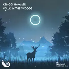 Walk in the Woods - Single by Kengo Hammer album reviews, ratings, credits