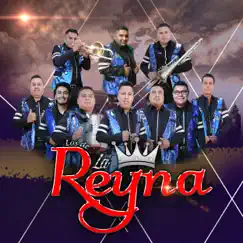 No Éramos, Somos by Los De La Reyna album reviews, ratings, credits