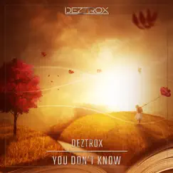 You Don't Know - Single by Deztrox album reviews, ratings, credits