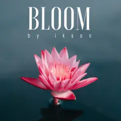 Bloom - Single by Ikson album reviews, ratings, credits